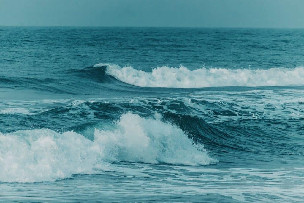 fragancias marinas inspiradas oceano Fragancias marinas inspiradas en el océano